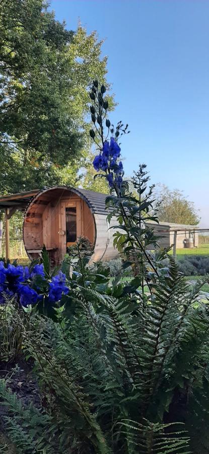 Vakantiewoning Victors Hof Tot 4 Pers Lievegem Exterior photo